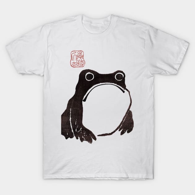 Grumpy Frog Dark - Matsumoto Hoji T-Shirt by nphindenberg